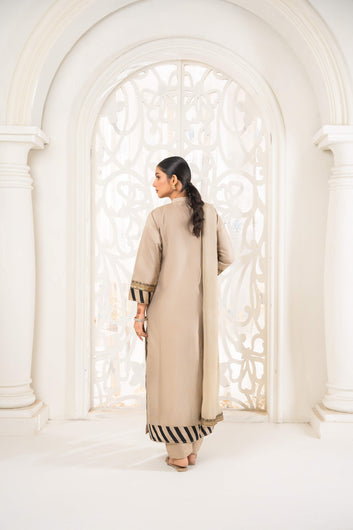 3 Piece Stitched Embroidered Silk Cotton | 3389-KH-SKTN